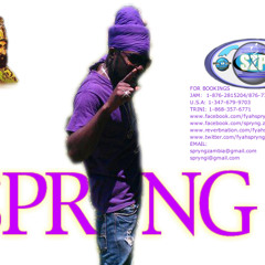 FYAH SPRYNG - EVERYTHING I'VE GOT (Adapted - Garnet Silk)