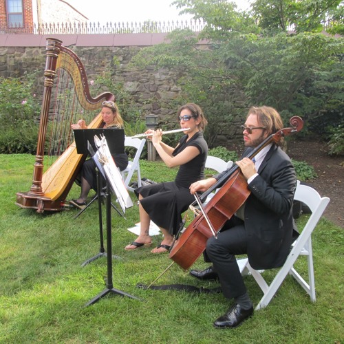 Cello harp 2024