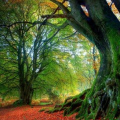 Donna Summers- On The Radio (Acapella Cover) at Secret Garden