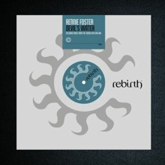 Rennie Foster-Devil's Water(Teoiric remix)