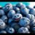 Artwork for Swedish Swamp Mob - BlueberryMadness