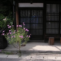 2013- Shruti (7) - Atari Kousuke - Hana 中孝介-花