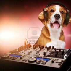 The Tracers Live-P@tRyk Set Vol1