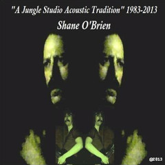 One Voice For All 2013