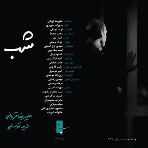 تصنیف شب | علیرضا قربانی