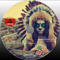 DJ TZESAR - Indian Summer 2013 (Clubstars CD vol. 40)