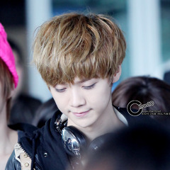 EXO LUHAN - 豆浆油条 (Perfect Match)