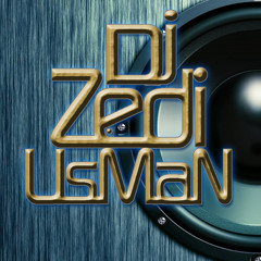 Bollywood Mashup Podcast 2013 - Dj Zedi Usman