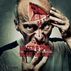 Mateo & Spirit - We are the night