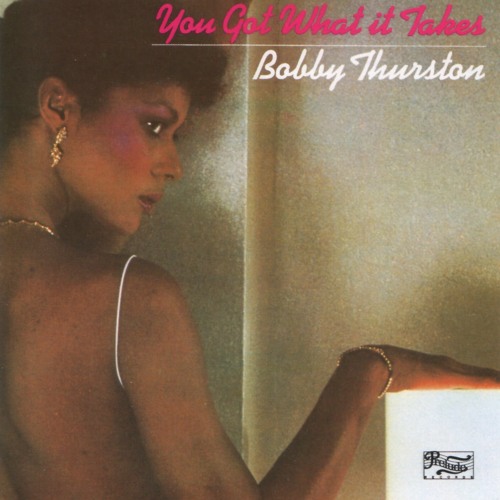 Bobby Thurston - You Got What It Takes (Enrico Mantini Instrumental Re-Edit)