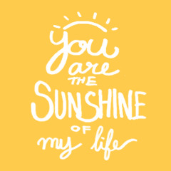 You are the Sunshine Of My Life (Stevie Wonder)