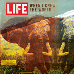 When I Knew The World