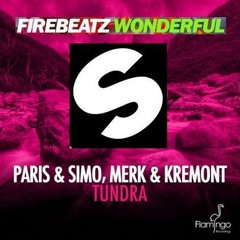 Wonderful Tundra -  Saravini MashUp