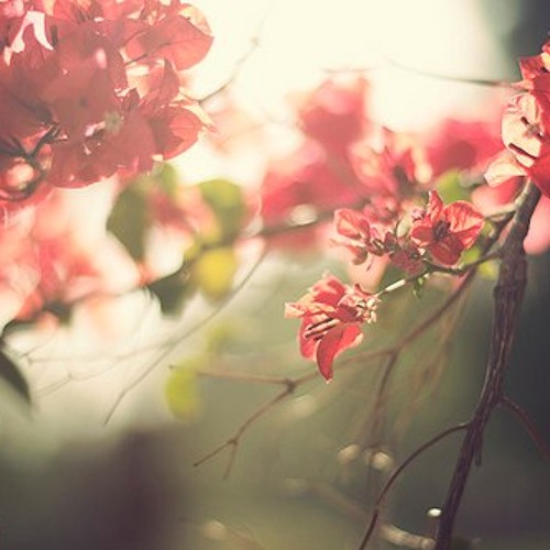 Cant Forgive (Ballad) - Yoo Young Sun & The Connexion