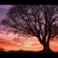 Jack Johnson & Natural Calamity --  Dark Water & Stars