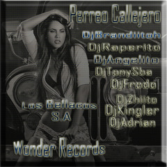 Perreo Callejero ★New PerreO 2013-2014★ Los Djs Del Momento
