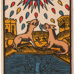 (Cover) The Killing Moon By Echo & The Bunny Men