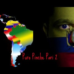 Puro Pinche Pari 2 (Latin Mixtape)