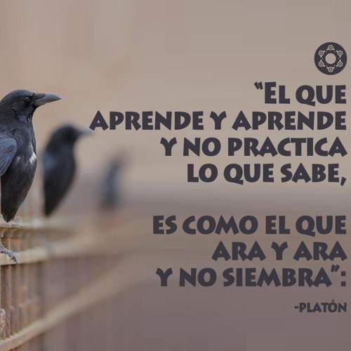 FDren Con Minuto Soler Luanko Contra-adiccion (zeckbeats)