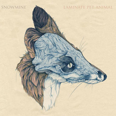 snowmine - trial and error