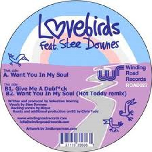 Lovebirds Feat. Stee Downes - Want You In My Soul (Matt Prehn Stripped Soul Remix) FREE DL