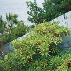 fret & Koyotte - Dacowg