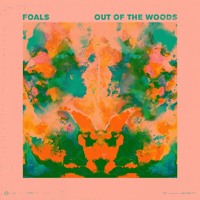 Foals - Out Of The Woods (Kulkid Remix)