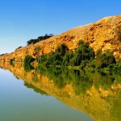 Molly Lol-Lol / Orange Jackets