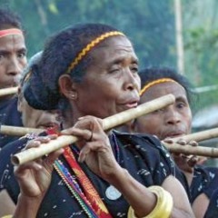 Flauta Indian {Prod. Vitor Beatz}