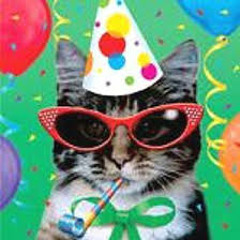 22 TODAY YOLO ETC ETC
