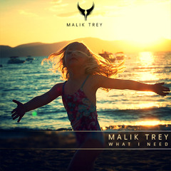 Malik Trey - What I Need
