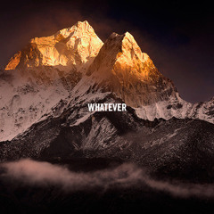 These New Puritans - Dream (Ben Spranklin Bootleg)