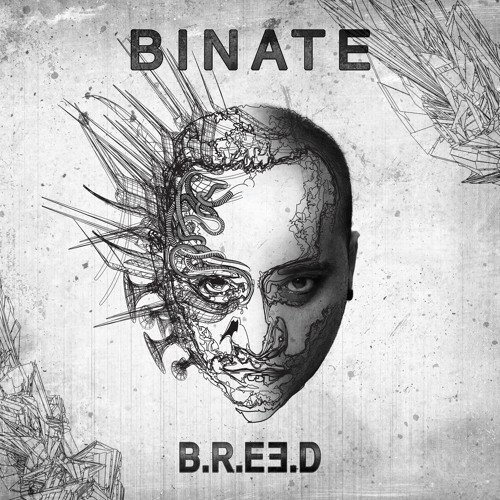 ACIDATE - B.R.E.E.D (Out on Muti Music)