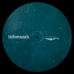 Noetics/ Rotterdub/ Frank Hellmond RMX/ Tiefenrausch005/ Preview