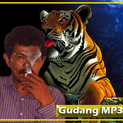 Bila Kau Seorang Diri