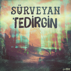 Tedirgin (Produced By İtaat )