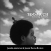 Drake Too Much Jessie Andrews And Jason Burns Remix Mp3