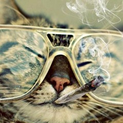 Arshia Alipour Melody / FD Remix (Deep House)DEMO