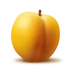 Finding faith in humanity - JT Mix