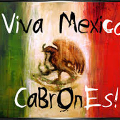 NUEVA MUSICA DE ANTRO SEPTIEMBRE 2013  Viva Mexico Cabrones ( Crazy Dj )