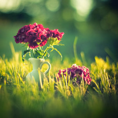 Love Letter - Diego Modena & Eric Coueffe