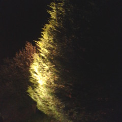 El Perdón ( Instrumental )