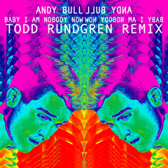 Andy Bull - Baby I Am Nobody Now (Todd Rundgren Remix)