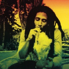 Reggae-Dub-Dancehall-Reggaeton