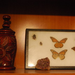 Untitled #3 (Alden Penner Cover)