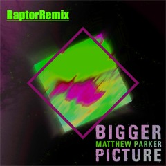 Matthew Parker - Bigger Picture (RaptorRemix)