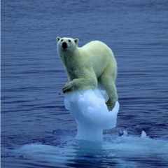 Mais Où Est Mon Doudou?