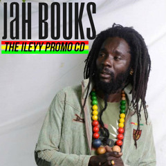 Jah Bouks - Vital [The Ileyy Promo EP 2013]