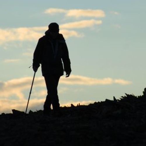 Walk