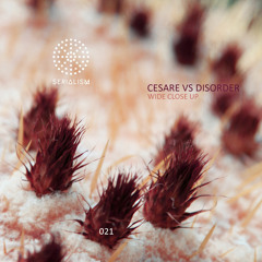 A1_Cesare vs Disorder_Karaoke Tokyo  [preview]